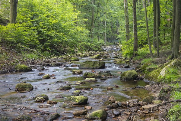 Ilse Mountain River