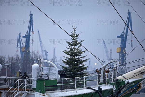 Christmas tree on the museum ship Rickmer Rickmers in front of cranes at the harbour