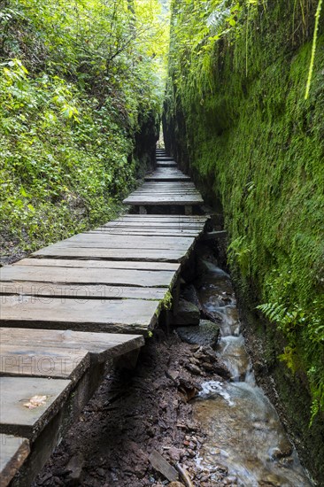 Boardwalk through narrows of the Drachenschlucht