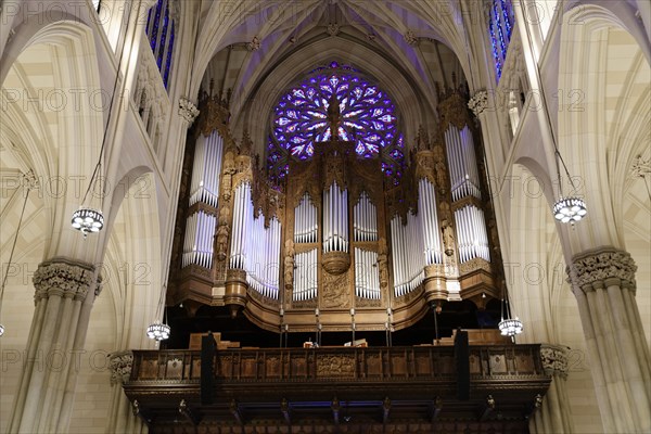 Organ