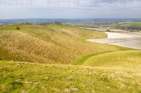 Steep chalk scarp slope Oldbury castel Cherhill Down