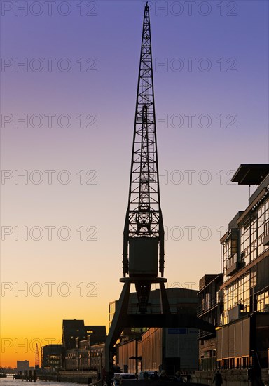 Crane at the fishing harbour at sunset