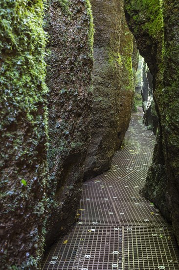 Hiking trail through narrows of the Drachenschlucht