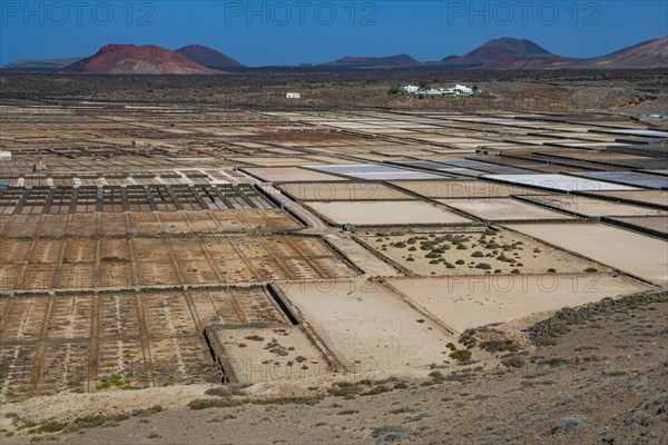 Sea salt extraction