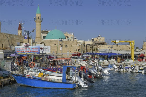 Marina and fishing port