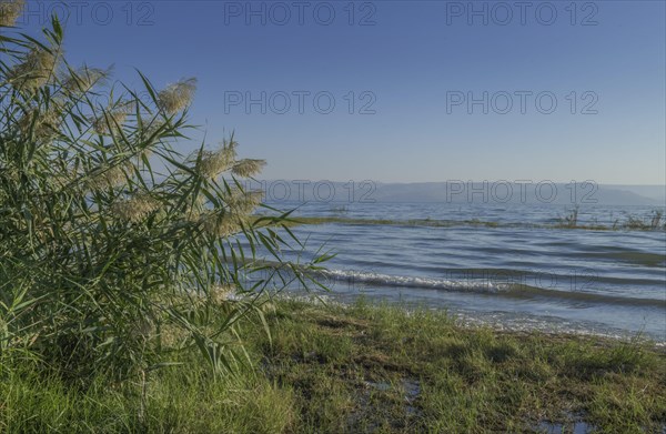 Beach near Migdal