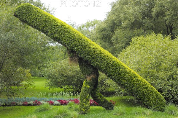 Plant sculpture