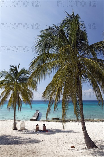 Sandy beach beach with palm trees