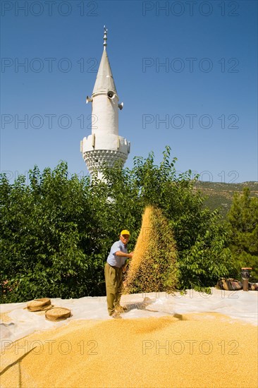 Drying grain