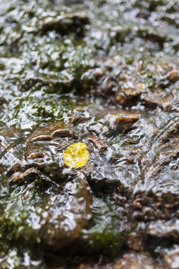 Water flowing down a rock face