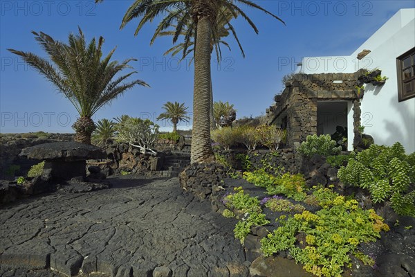 Jameos del Agua