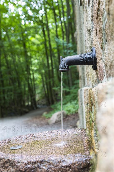 Water flowing from the tap of the Prinzess-Ilse spring