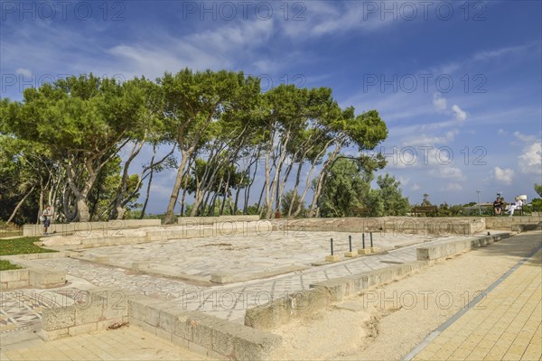 House of the bird mosaics