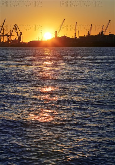 Norderelbe with cranes at sunrise