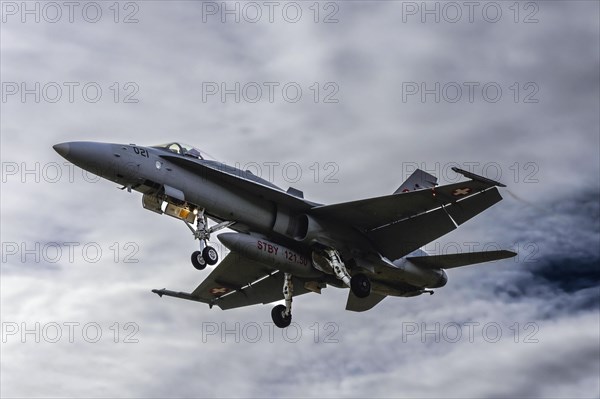 Fighter Jet Swiss Air Force