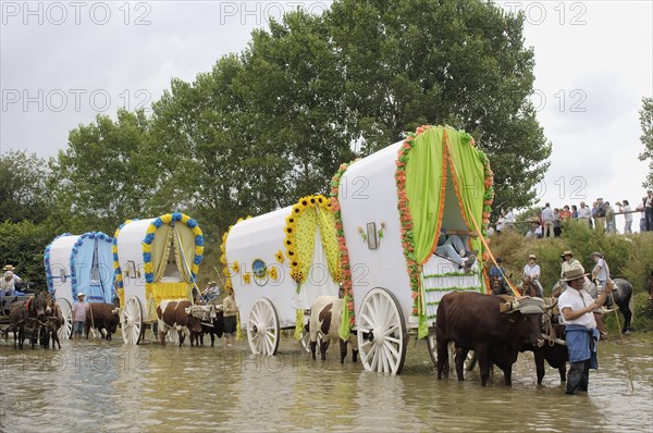 Romeria pilgrimage to El Rocio, 2009