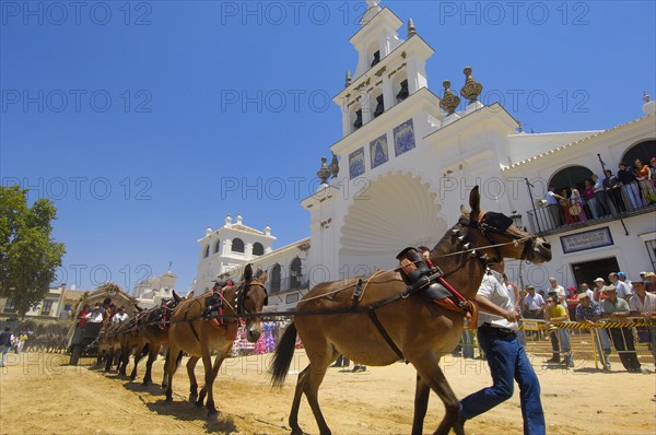 Romeria pilgrimage to El Rocio, 2009