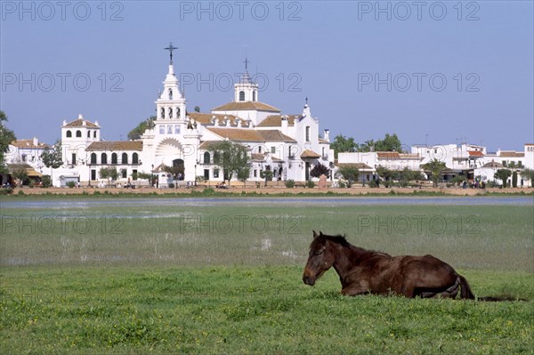 Pilgrims at El Rocio village, Spain, 2008