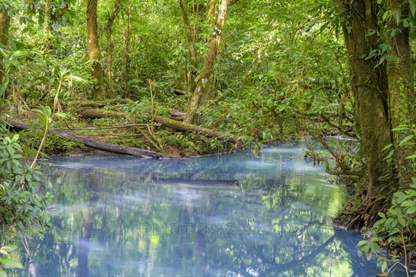 Blue turquoise water of the Rio Celeste caused by sulphur and calcium carbonate