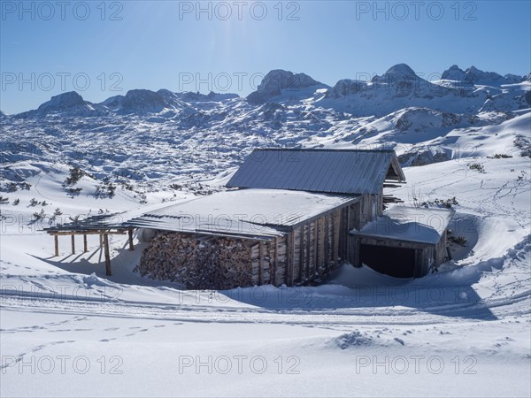 Winter landscape