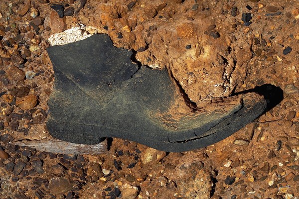 Rubber boot on red earth