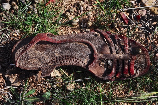 Ailing women's sandal in the grass