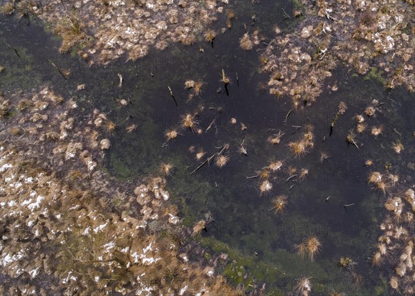 Aerial view of the Goldenstedt Moor