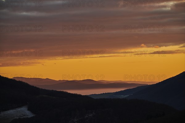 Fog lying in a valley at sunset