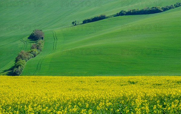 Beautiful and colorful abstract landscape