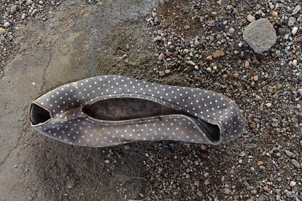 Black and white dotted women's shoe on the floor