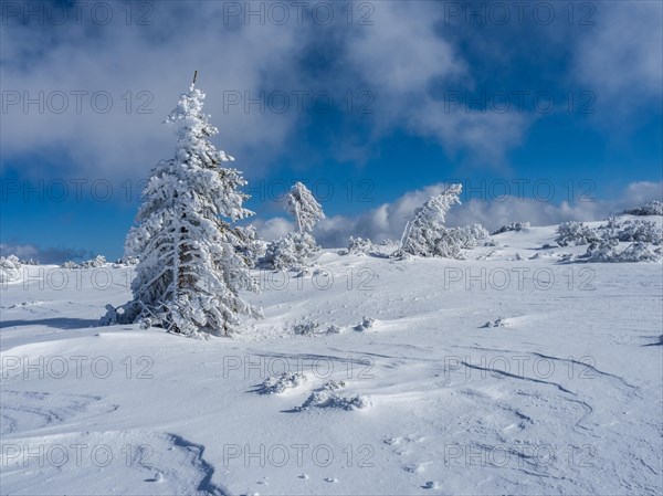 Blue sky over winter landscape