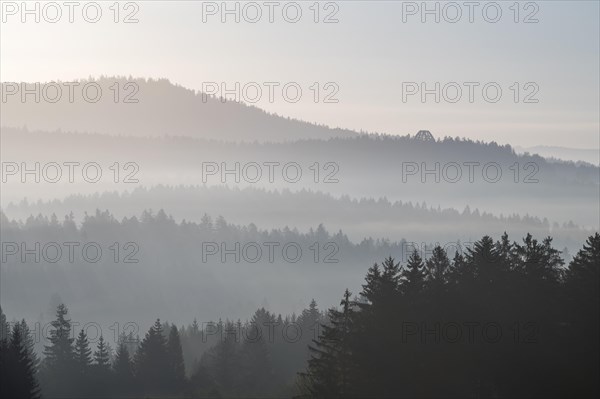 Morning mist in the Bavarian Forest