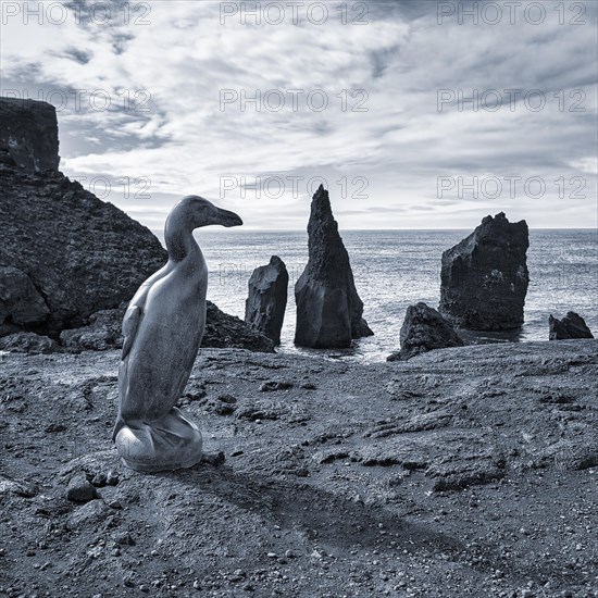 Great auk