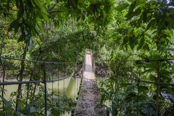 Suspension bridge