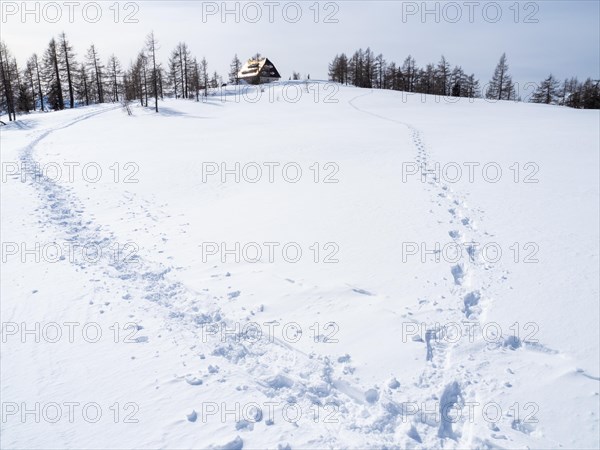 Winter landscape