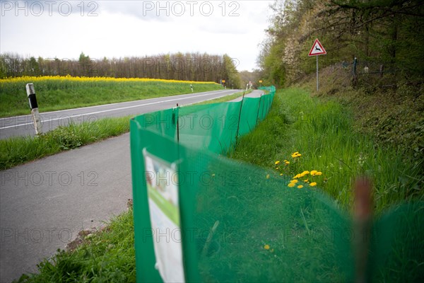 Amphibian protection fence