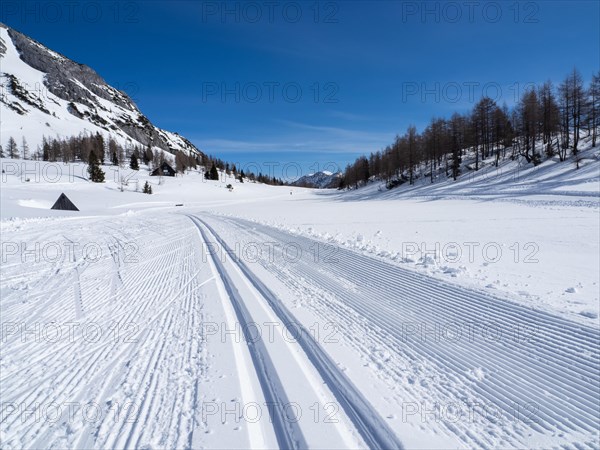 Blue sky over winter landscape