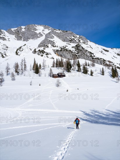 Snowshoe hiker in winter landscape