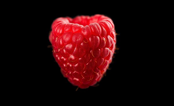 One raspberry closeup isolated on black background