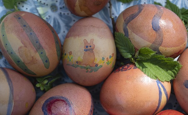 Colourful painted Easter eggs