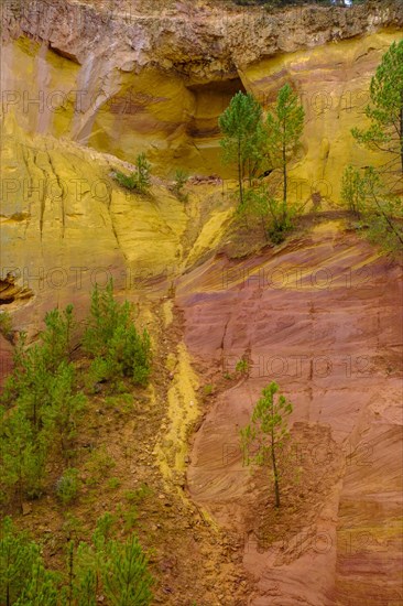 Ochre nature trail