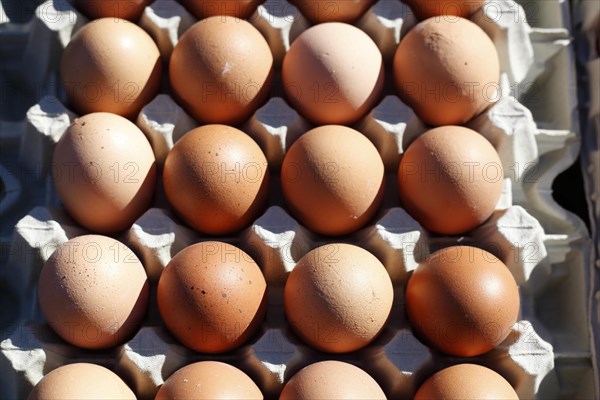 Fresh brown eggs in egg cartons at a market stall
