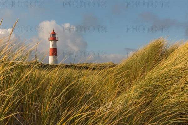 List East lighthouse in the dunes