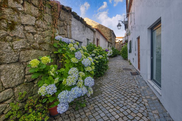 Narrow cobble street with flowers and old stone houses