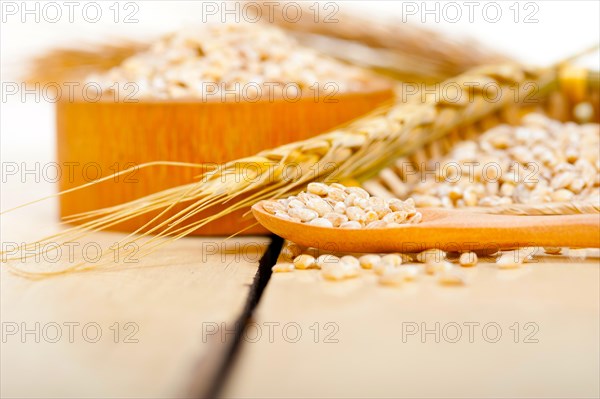 Organic wheat grains over rustic wood table macro closeup