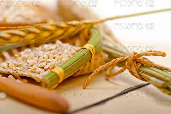 Organic barley grains over rustic wood table macro closeup