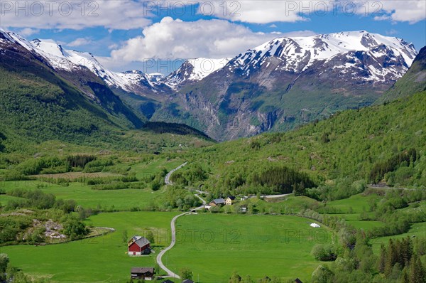 Alpine meadows in a wide landscape and snowy mountains