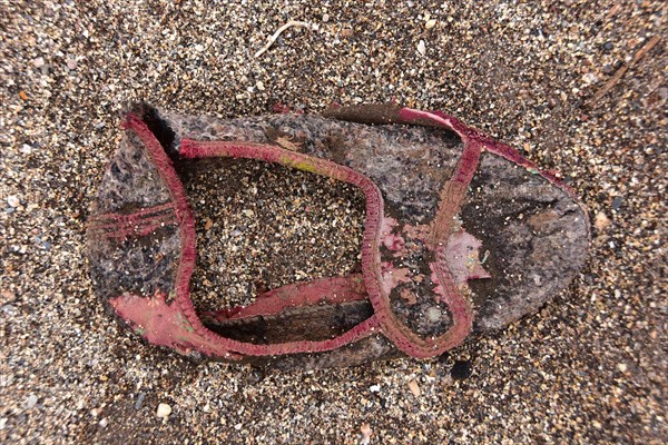 Fragment of slipper on the beach