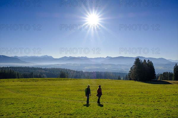 Hiker on the Panorama Trail