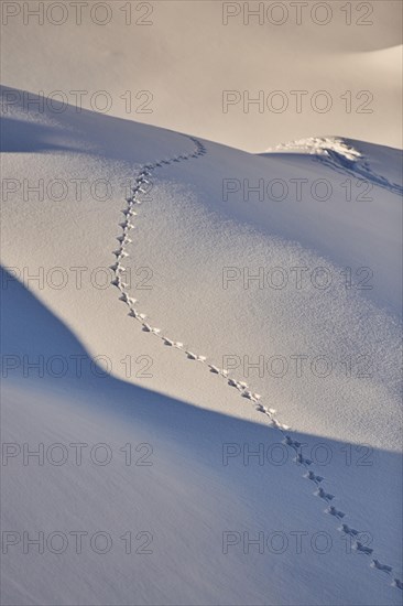 Trail going through the deep snow on Mount Kitzsteinhorn